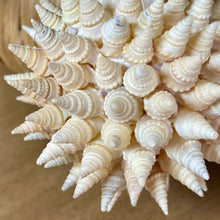 Load image into Gallery viewer, Shell Ball Ornament II
