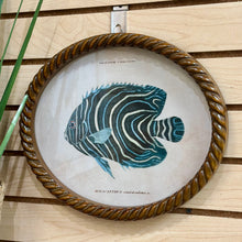 Load image into Gallery viewer, Oval Fish Print II Art
