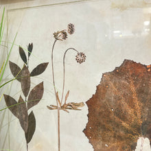 Load image into Gallery viewer, Set/3 Botanical Art
