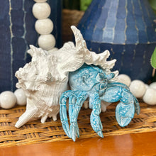 Load image into Gallery viewer, Hermit Crab
