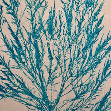 Load image into Gallery viewer, Seaweed II Framed Art
