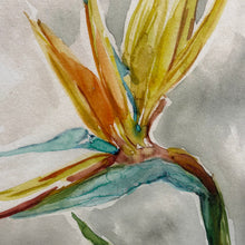 Load image into Gallery viewer, Bird Of Paradise II
