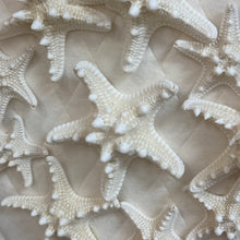Load image into Gallery viewer, Paragon Starfish Shadowbox I
