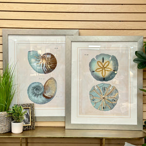 Turquoise & Taupe Shell Art