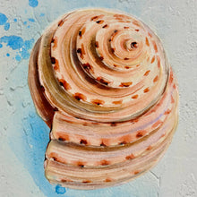 Load image into Gallery viewer, Blue Framed Shell II
