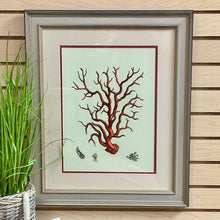 Load image into Gallery viewer, Coral Framed Art II
