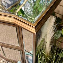 Load image into Gallery viewer, 3DRW Mirrored Dresser
