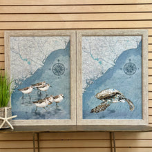 Load image into Gallery viewer, Turtle NC Coast Map

