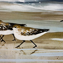 Load image into Gallery viewer, 3 Panel Shorebird Art
