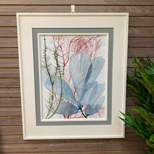 Load image into Gallery viewer, Framed Seaweed II
