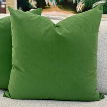 Load image into Gallery viewer, Emerald Velvet Down Designer Pillow
