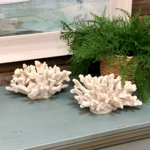 Decorative Coral