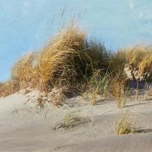 Load image into Gallery viewer, Sand Dune Framed Art
