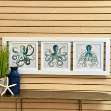 Load image into Gallery viewer, Framed Octopus Trio
