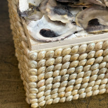 Load image into Gallery viewer, Oyster Shell Decorative Box
