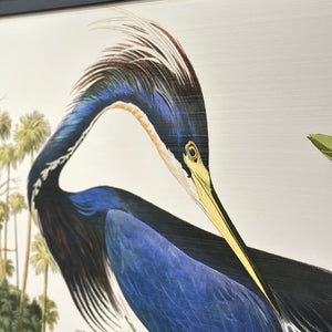 'Louisiana Heron' Fine Art Giclee
