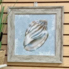 Load image into Gallery viewer, Blue Shell I
