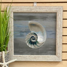 Load image into Gallery viewer, Blue/Grey Nautilus II
