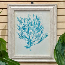 Load image into Gallery viewer, Seaweed II Framed Art

