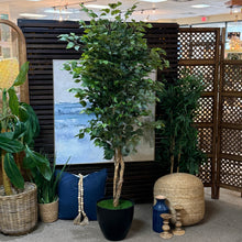 Load image into Gallery viewer, Faux Ficus In Blk Pot
