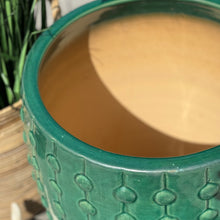 Load image into Gallery viewer, XL Green Textured Clay Pot
