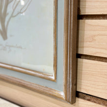 Load image into Gallery viewer, Beige Coral Art III
