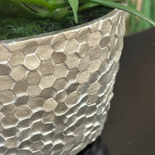 Load image into Gallery viewer, Faux Succulents In Silver
