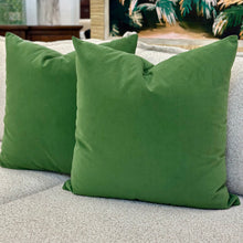 Load image into Gallery viewer, Emerald Velvet Down Designer Pillow
