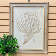 Load image into Gallery viewer, Beige Coral Art II
