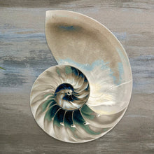 Load image into Gallery viewer, Blue/Grey Nautilus II
