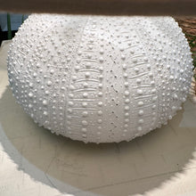 Load image into Gallery viewer, White Sea Urchin Lamp
