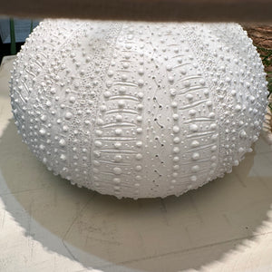 White Sea Urchin Lamp