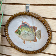 Load image into Gallery viewer, Oval Fish Print III Art
