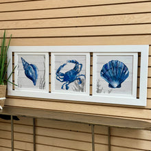 Load image into Gallery viewer, 3 Panel Crab/Shells Giclee
