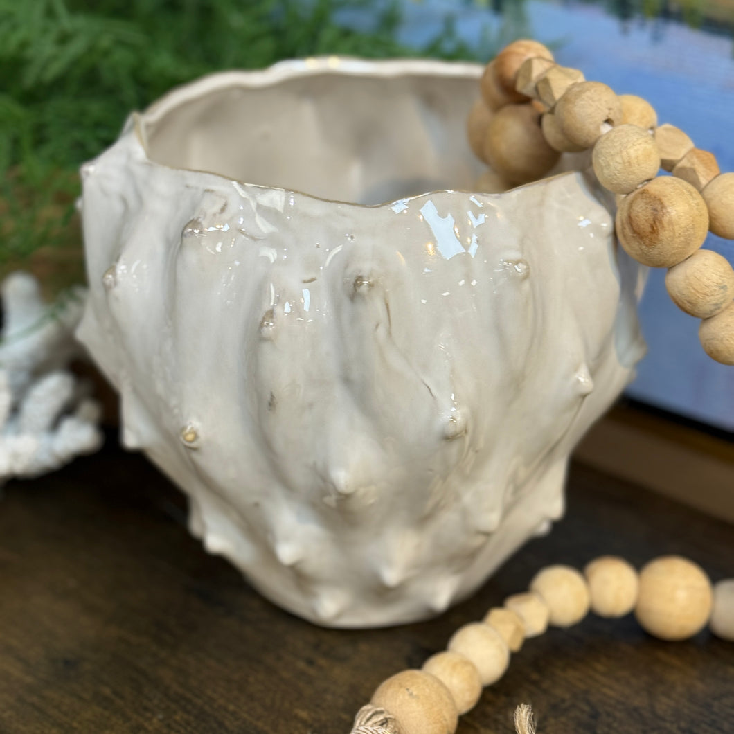 White Cactus Planter