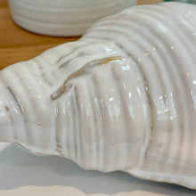 Load image into Gallery viewer, Ivory Ceramic Shell
