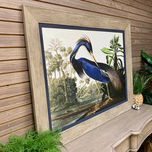 Load image into Gallery viewer, 'Louisiana Heron' Giclee
