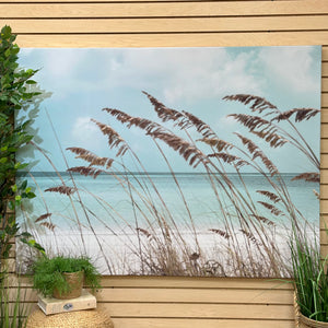 Sea Oats In The Wind Canvas