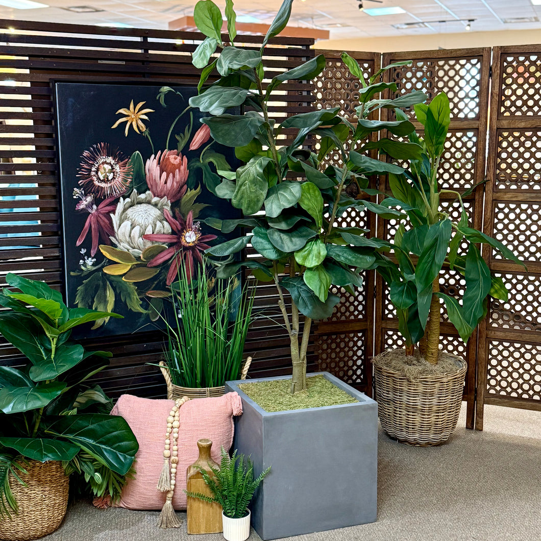 NDI Fiddle Leaf Tree