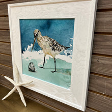 Load image into Gallery viewer, Sandpiper Framed in White
