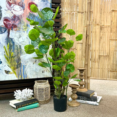 Greenery & Silk Plants