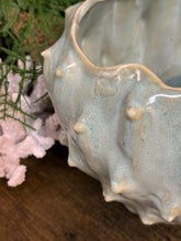 Load image into Gallery viewer, Aqua/Green Cactus Planter
