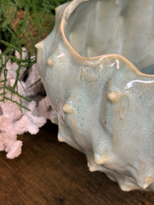 Aqua/Green Cactus Planter