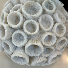 Load image into Gallery viewer, Coral Orb
