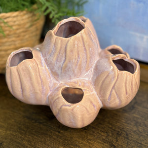 Pink Barnacle Decor