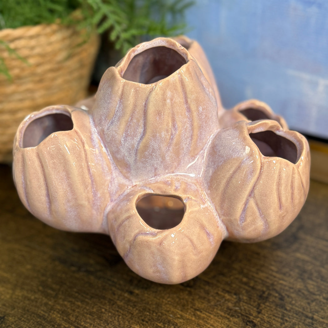 Pink Barnacle Decor