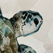 Load image into Gallery viewer, SM Sea Turtle II
