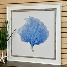 Load image into Gallery viewer, Blue Seafan I
