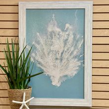 Load image into Gallery viewer, Aqua Sea Fan I Giclee
