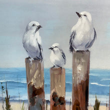 Load image into Gallery viewer, Perched Seagulls Canvas
